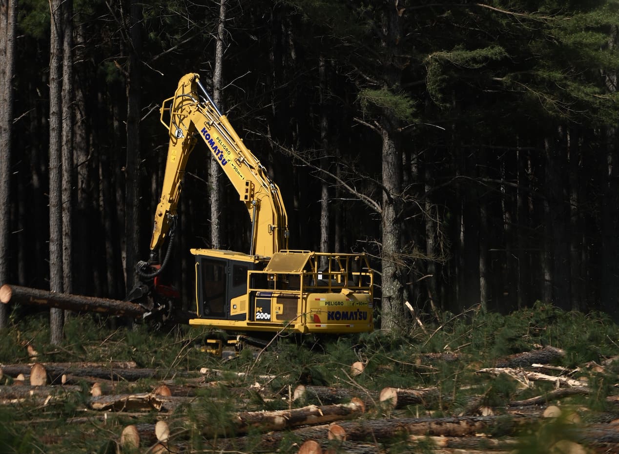 Operaciones forestales de Idalen