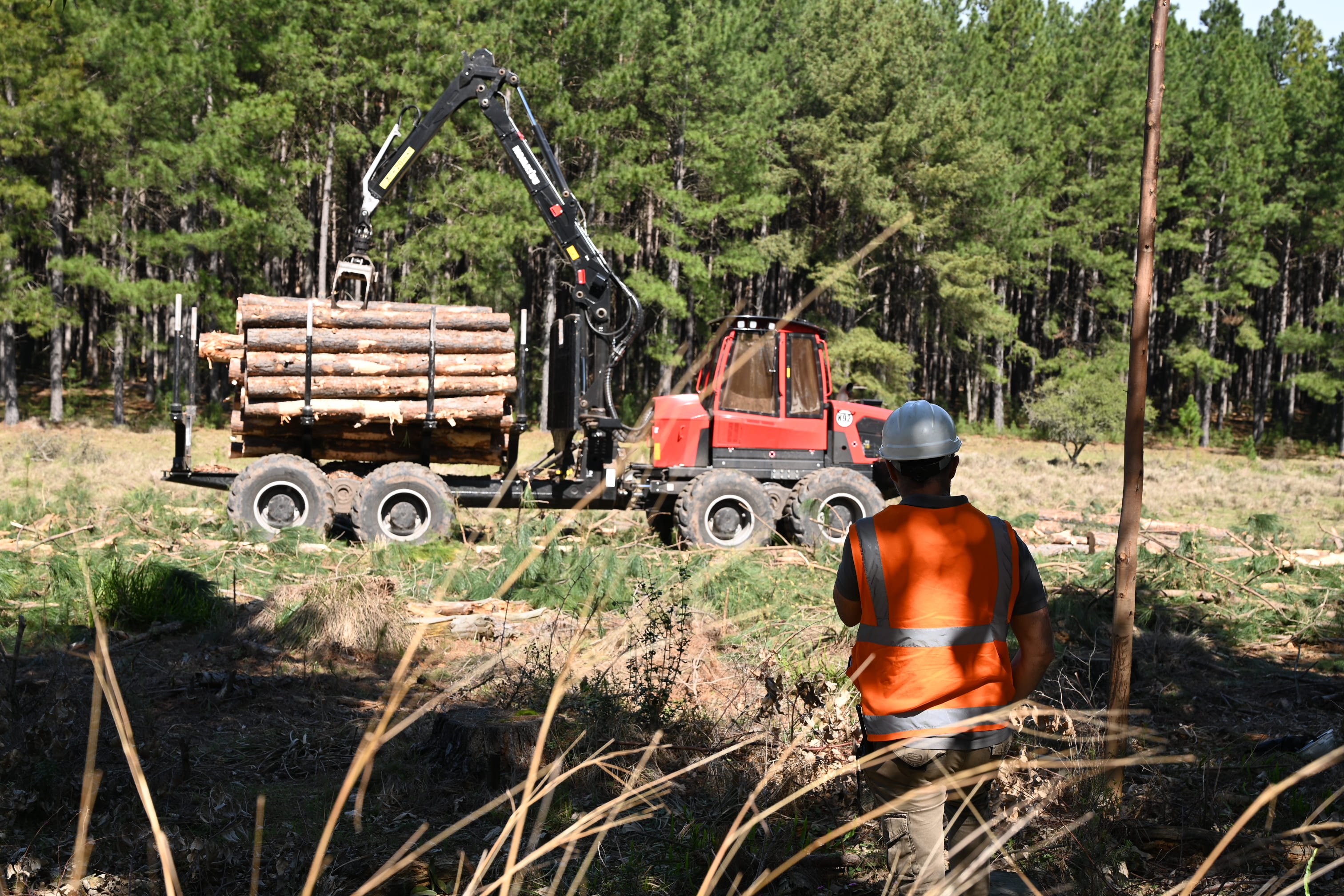 Trabajos forestales de Idalen