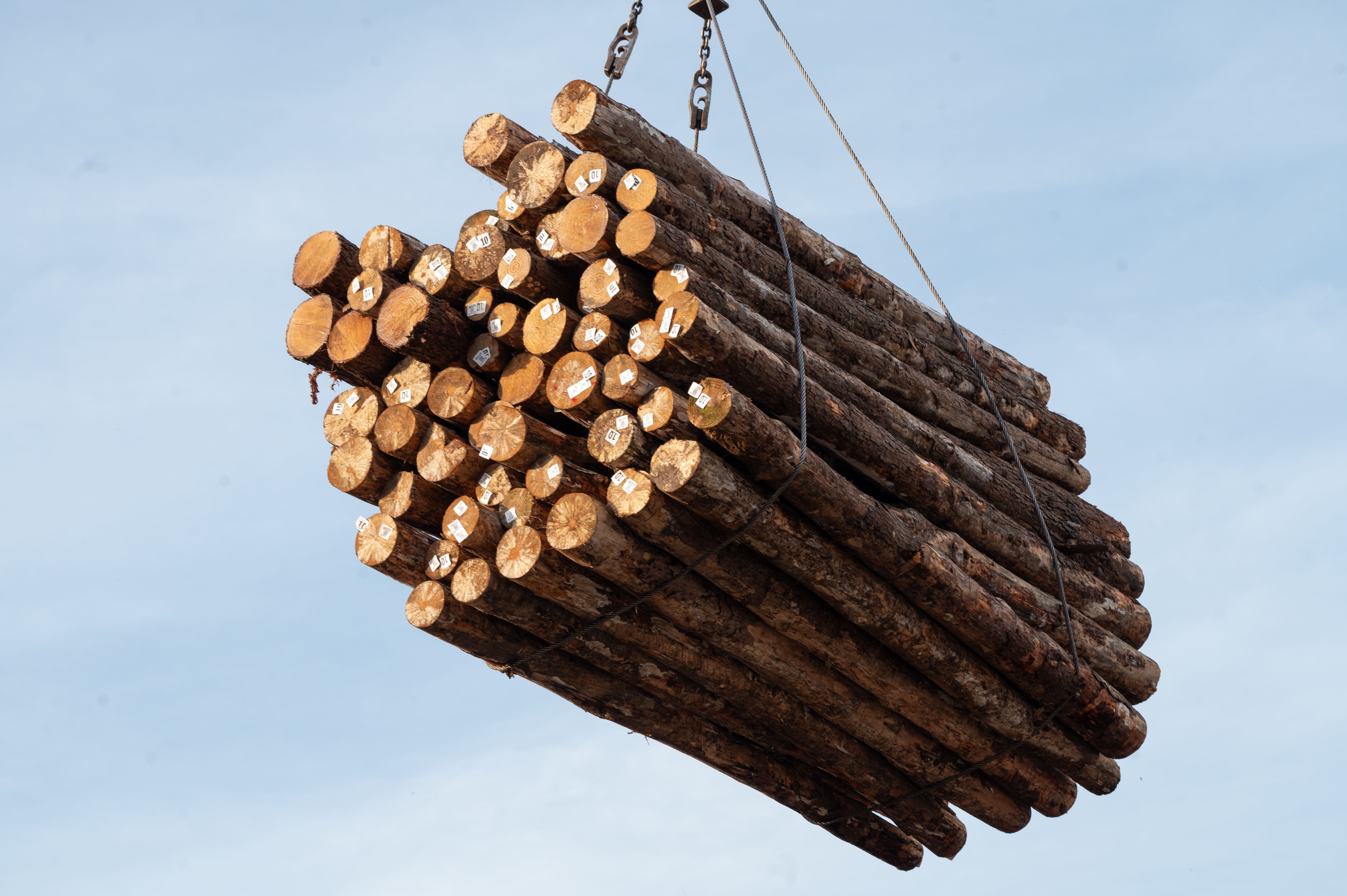 Operaciones forestales