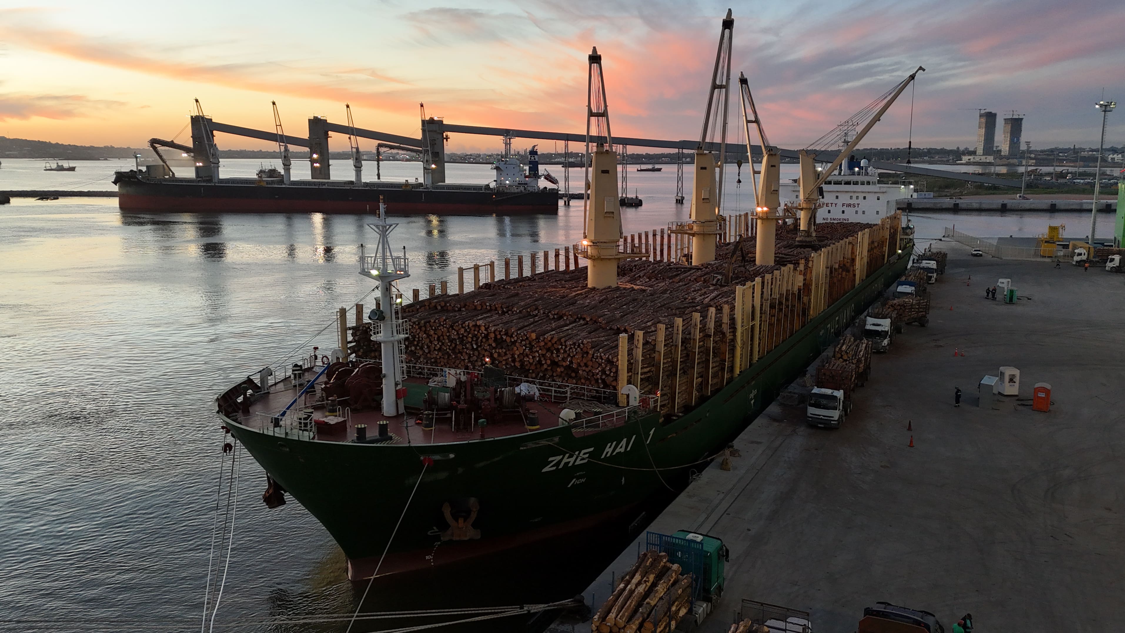 Actividades forestales de Idalen